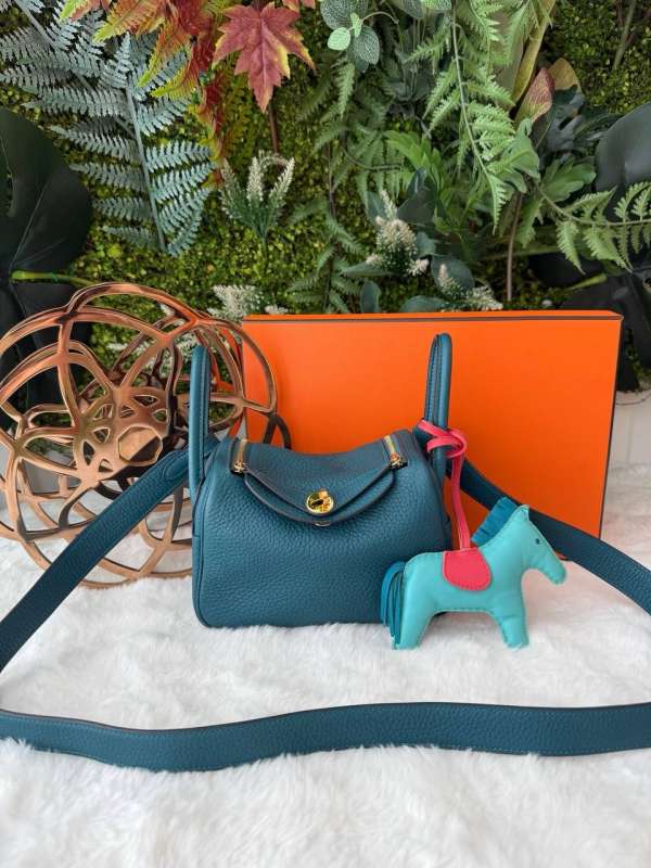 Hermes mini lindy