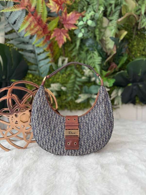Christisn dior diorssimo hobo