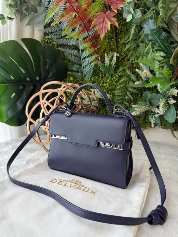 Delvaux calfskin pm tempete