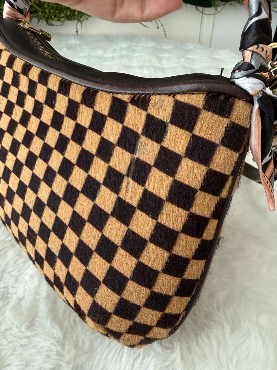 Lv damier sauvage tigre - Image 5